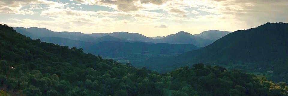 jonathanjwells's profile banner image