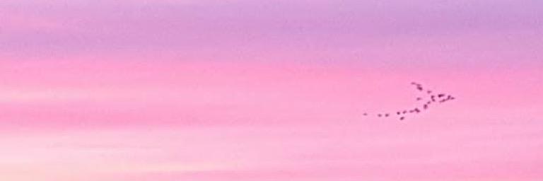 _lexhen's profile banner image