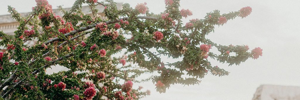 allyfaim92's profile banner image