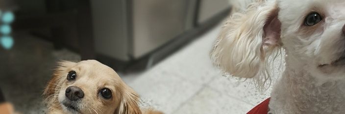Melaninandre's profile banner image