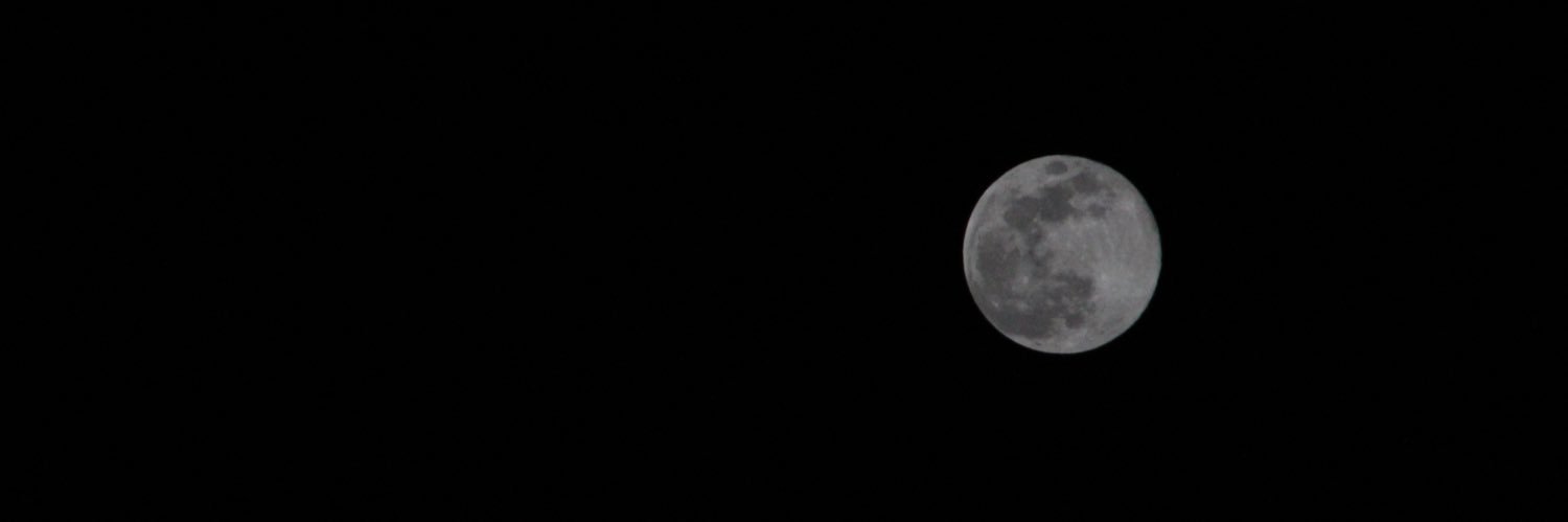 FlorLuna1's profile banner image
