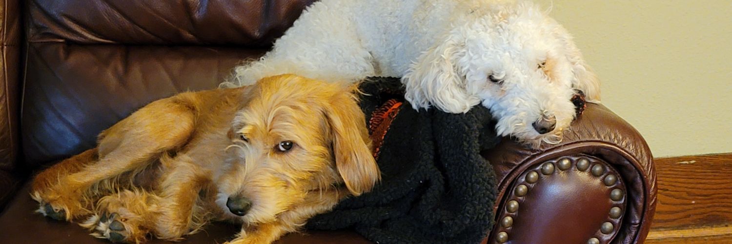 Jamjamminjamsquirt banner