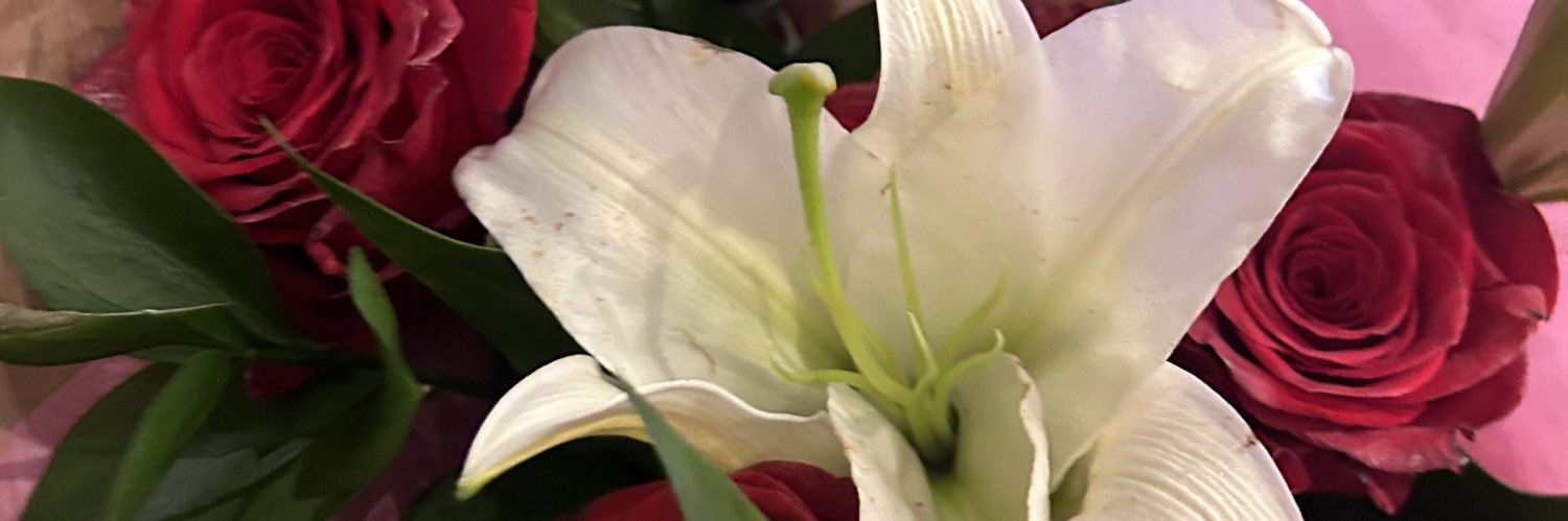 amanduhthedon's profile banner image