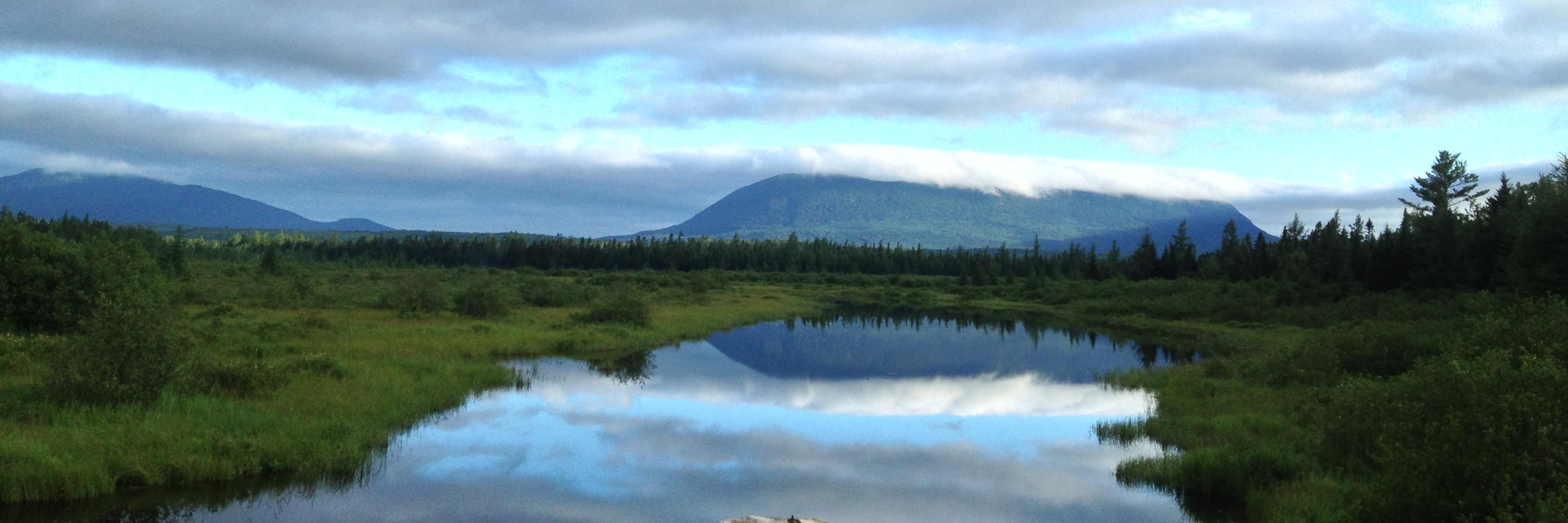 Adam Olszewski MD banner