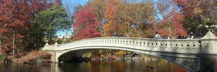 Raquel Xalabarder banner