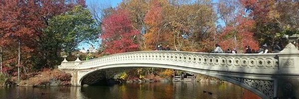 ipx_xala Profile Banner