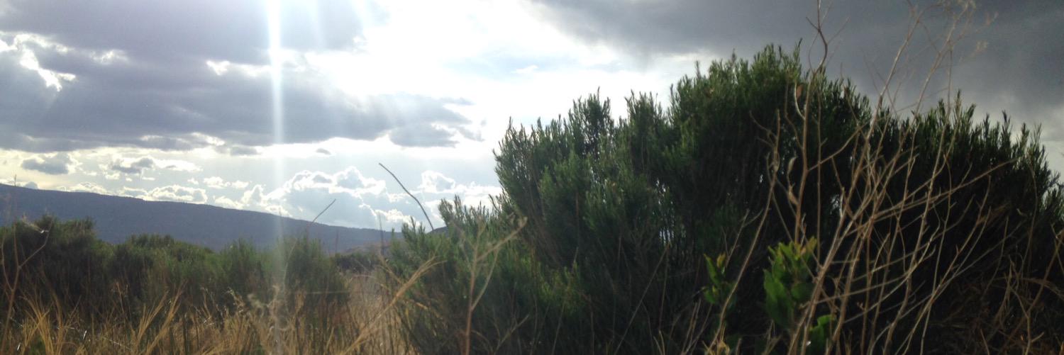 domcolling21's profile banner image