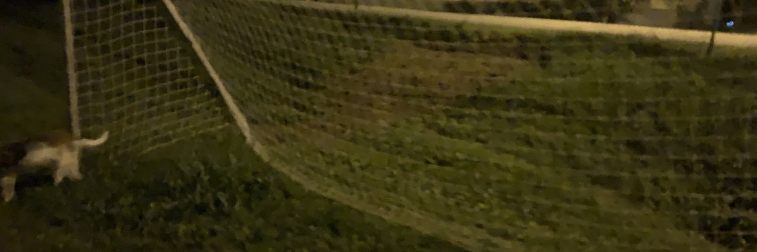 RLknt's profile banner image