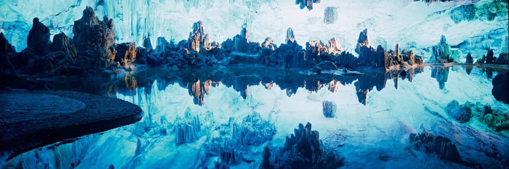 Elizabeth Krause banner