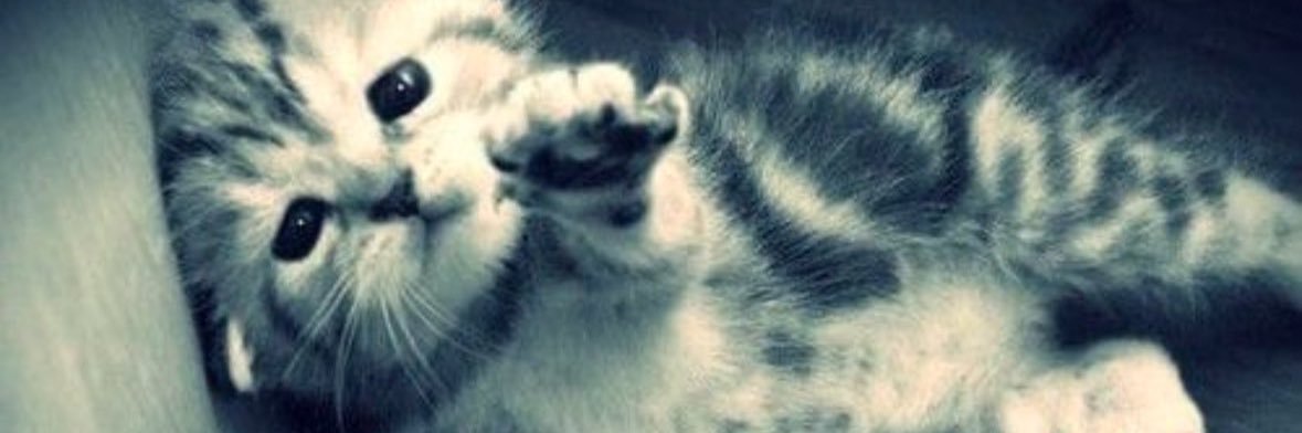 normalnctzen's profile banner image