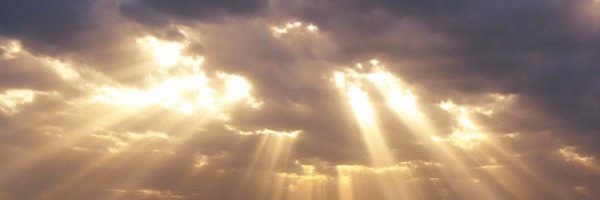 GusKalra's profile banner image