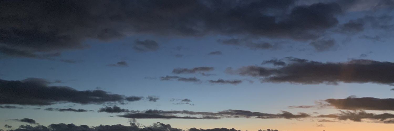 yasmeene ball johnson banner