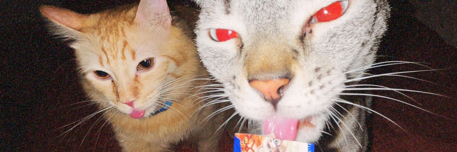 bbamarilloo's profile banner image
