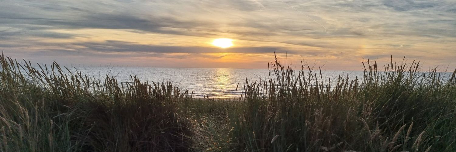 𝙳𝚘𝚗 𝙸𝚗𝚒𝚐𝚘 banner