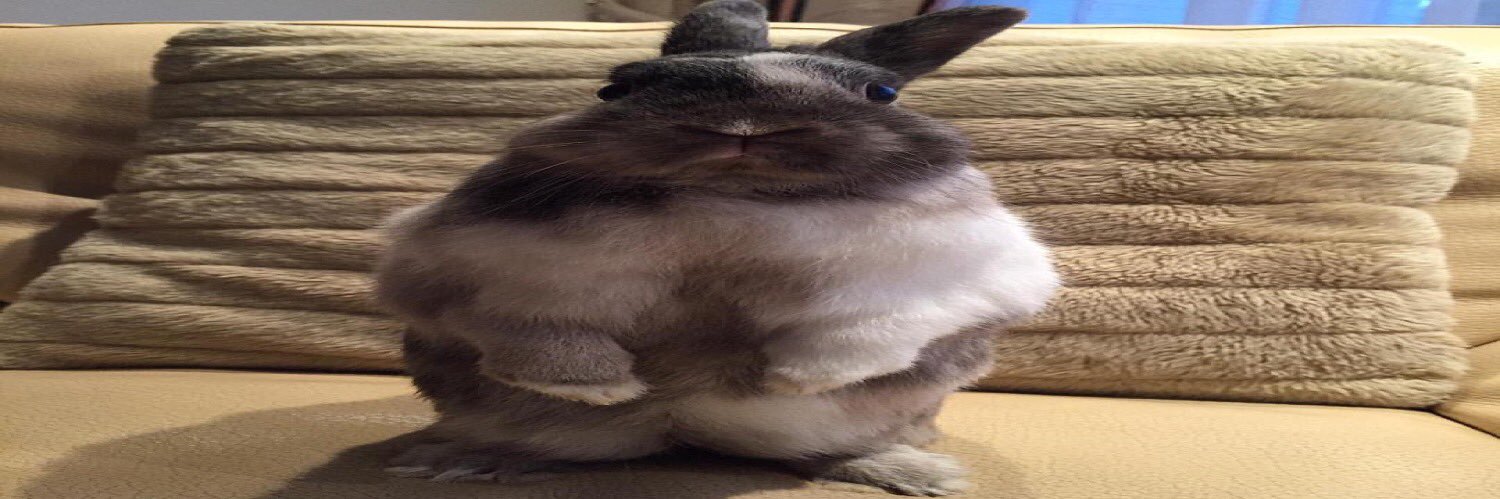 Emoinm's profile banner image