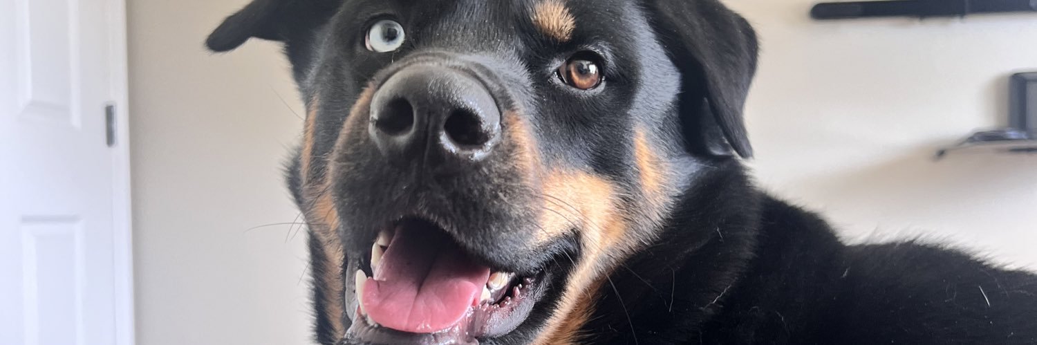 LIscumbag97's profile banner image