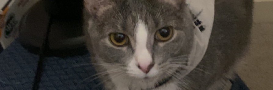 TeterBrandon's profile banner image