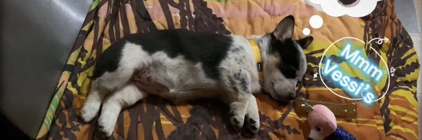 0Ciestiel0 Profile Banner