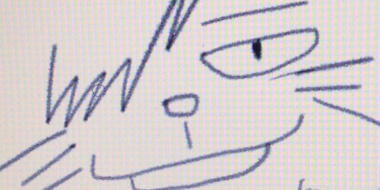 kuroneko_2X's profile banner image