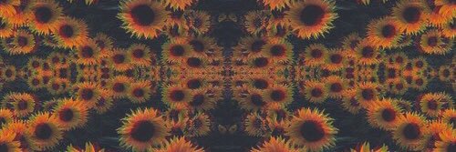 __dellusional__'s profile banner image