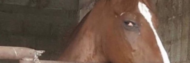 khaliyeah's profile banner image