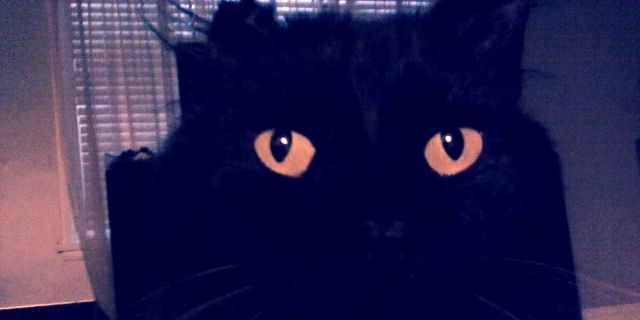 gabbzzo's profile banner image