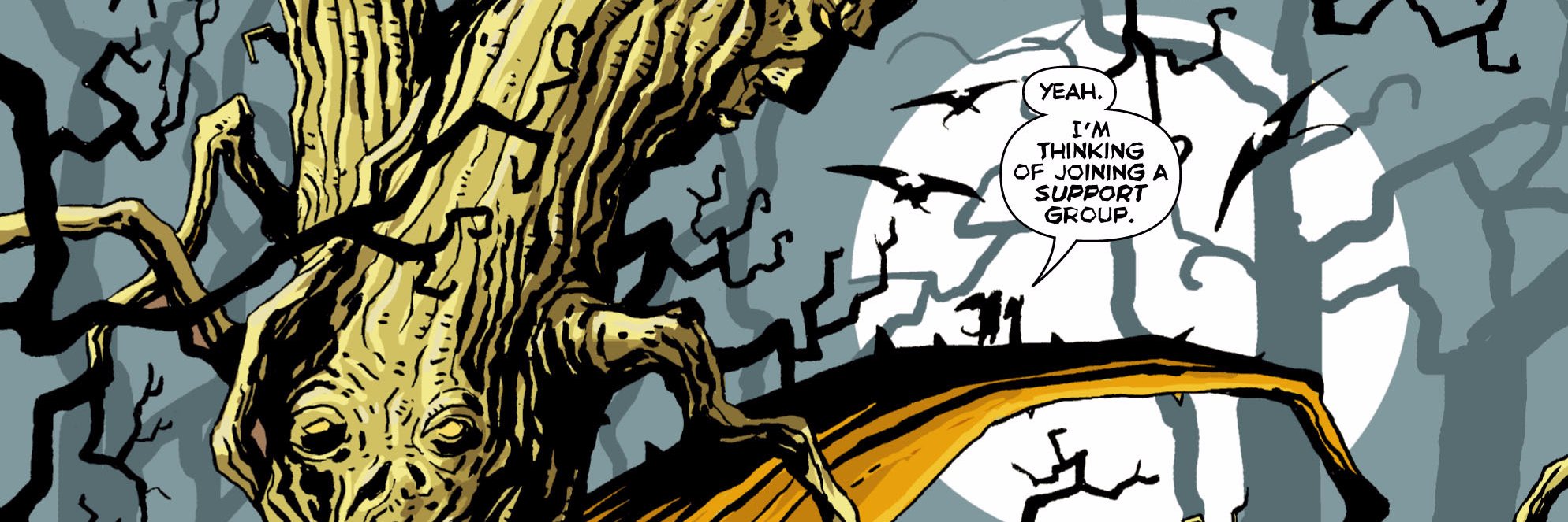 pninterest's profile banner image