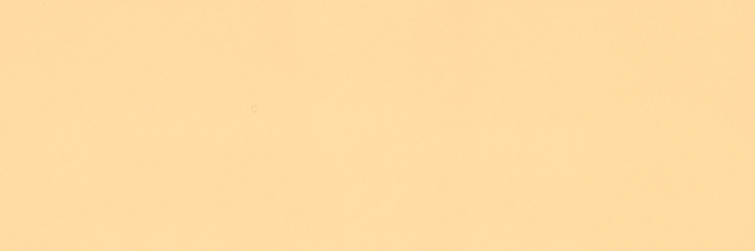 Lara 🌵 banner