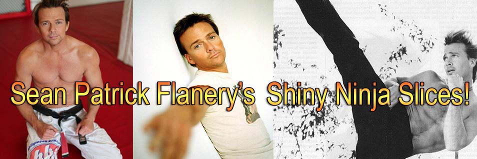 ShineNinjaSlice's profile banner image