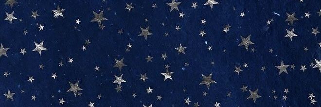 gingerpolin's profile banner image