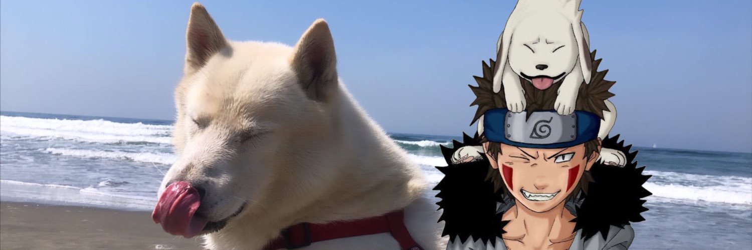chickenalfrxdo's profile banner image