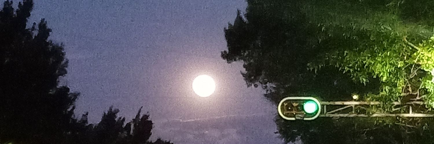 swsingle29's profile banner image