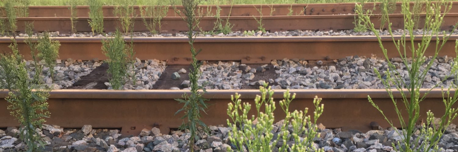anonymsme's profile banner image
