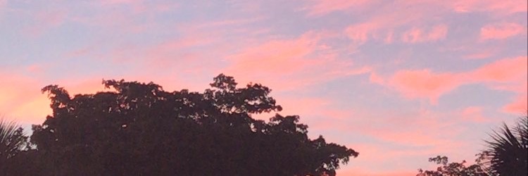 afroaesthetic's profile banner image