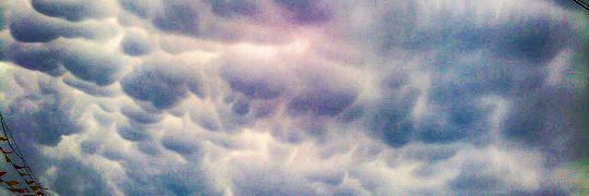 Mims_1000's profile banner image