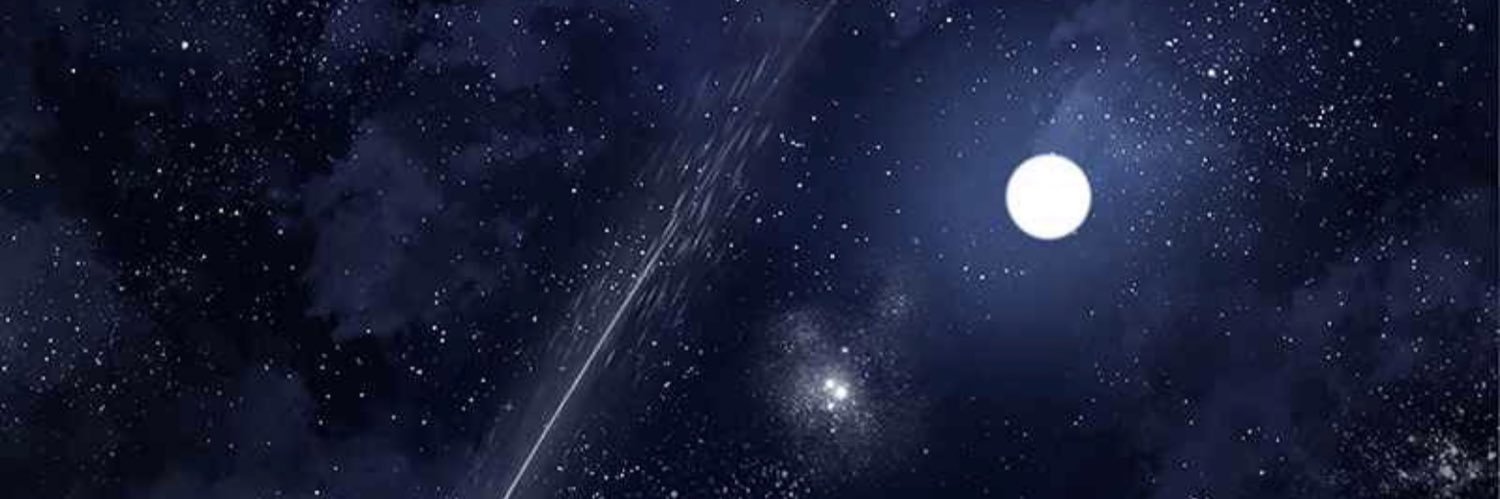 FruitBonji's profile banner image