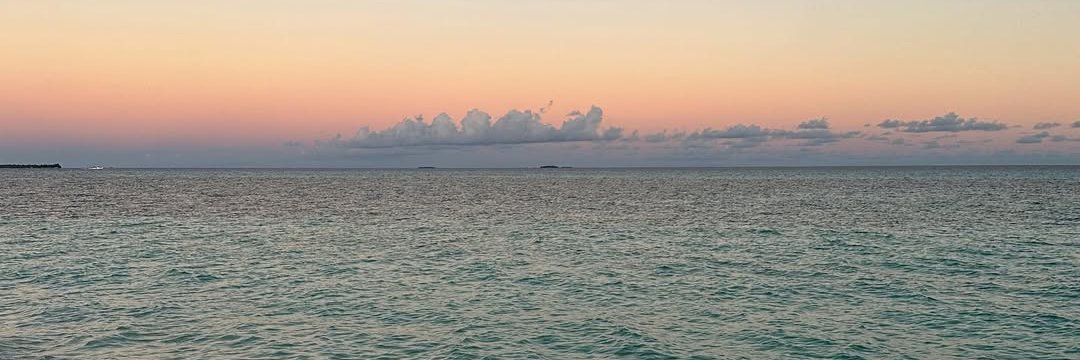 Nora233a's profile banner image