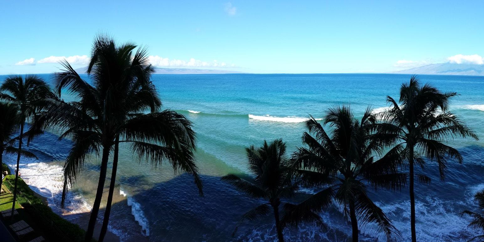 Meghan Gabucci banner