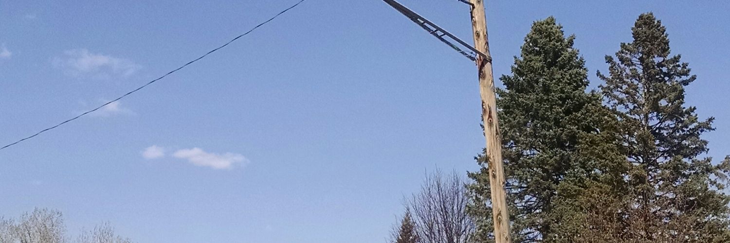 alimdicks's profile banner image