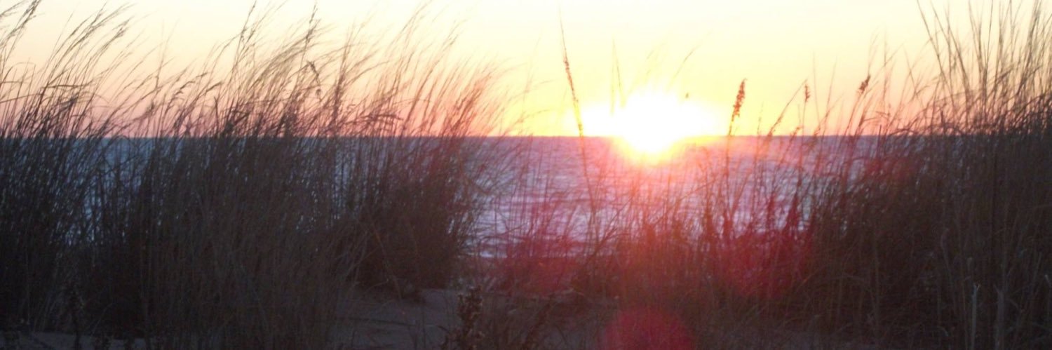 Mafoltz's profile banner image