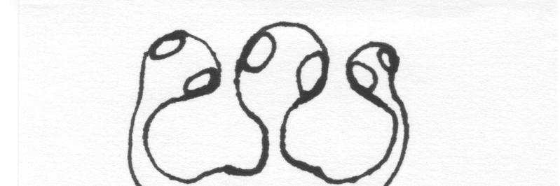 Philipp Quehenberger banner