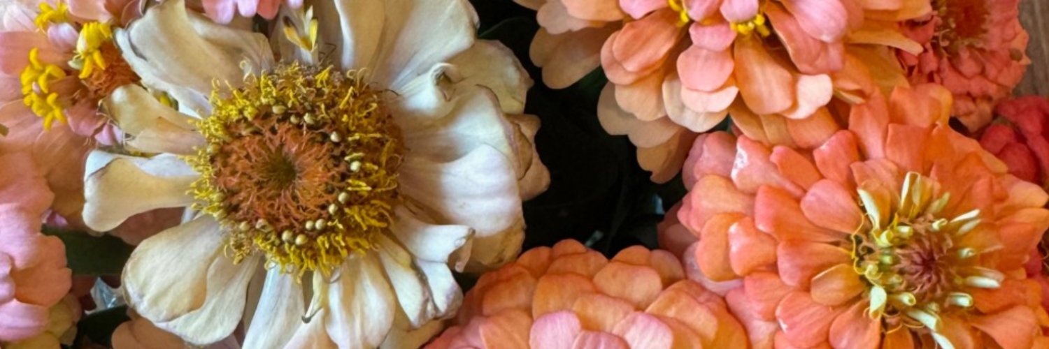 Libby Juelsgaard banner