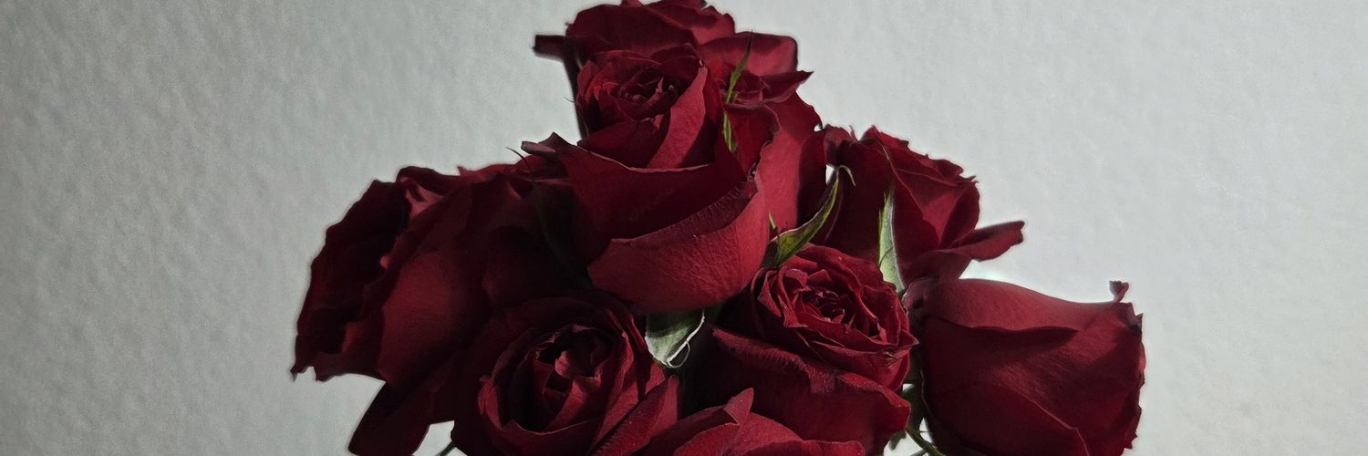 Andyflorece's profile banner image