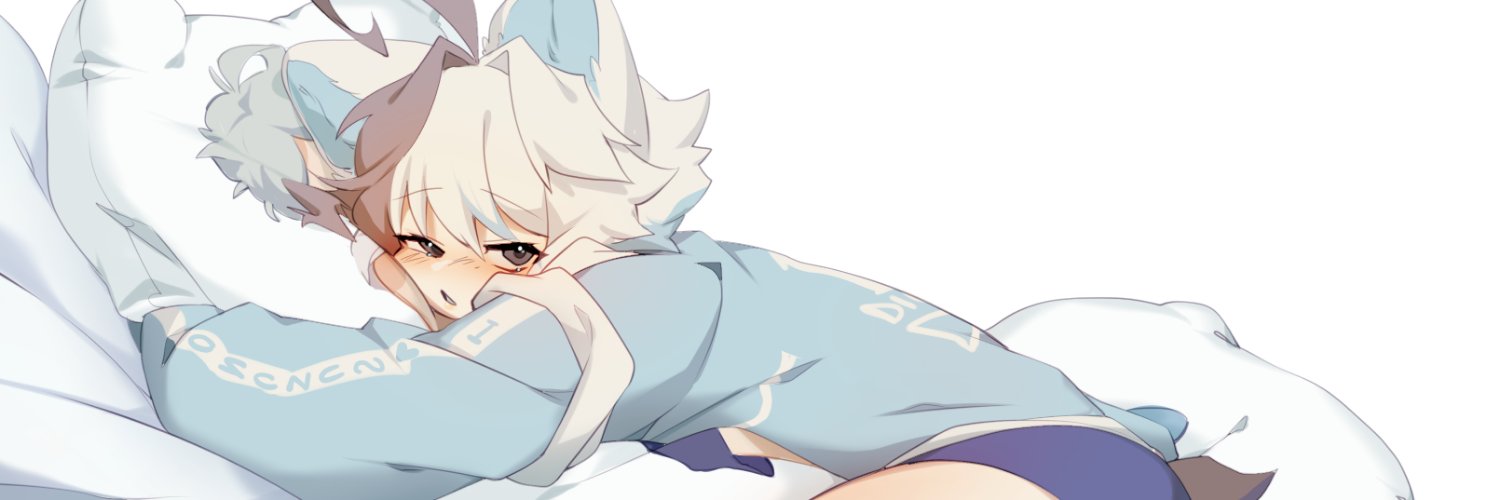 AkiRoToRo's profile banner image