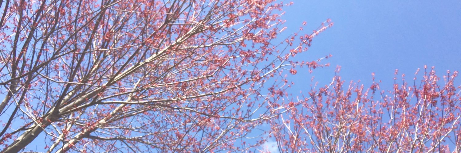 Khuleedee's profile banner image