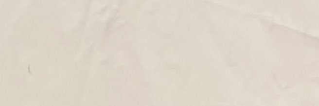 shazsides's profile banner image