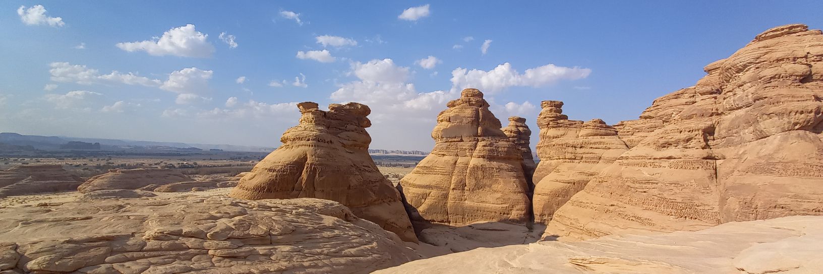 Catherine Le Thomas كاترين لو توما banner