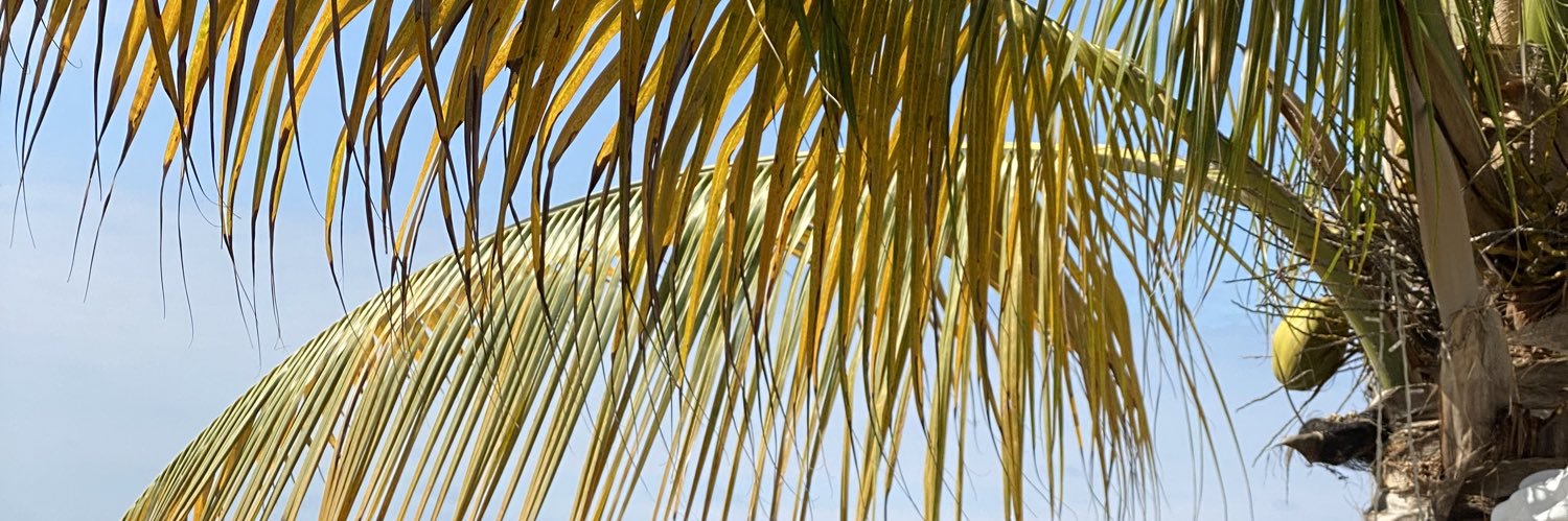 PacooAndres's profile banner image