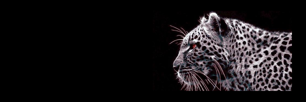NeopardMobile's profile banner image