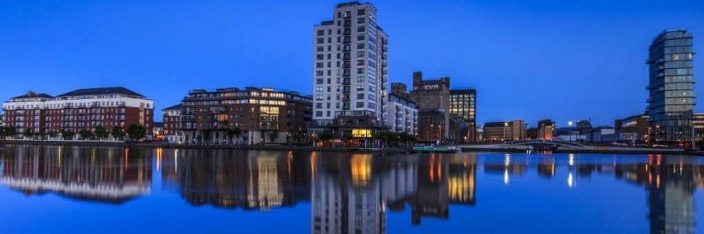 DAMA Ireland banner